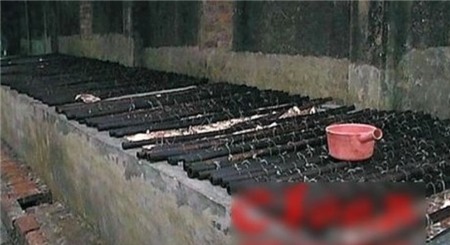Thịt lúc nhúc giòi, ng&acirc;m thu&ocirc;́c trừ s&acirc;u trong nhà máy TQ 1