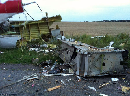 Những hình ảnh đau lòng trong vụ máy bay Malaysia rơi ở Ukraine 14
