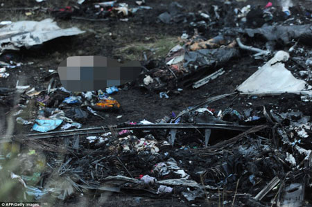 Những hình ảnh đau lòng trong vụ máy bay Malaysia rơi ở Ukraine 9