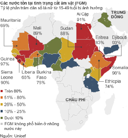 Họp thượng đỉnh chống nạn cắt &acirc;m vật 2