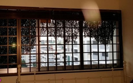 Sốc khi h&agrave;ng ng&agrave;n con ong đậu ngo&agrave;i cửa sổ 1