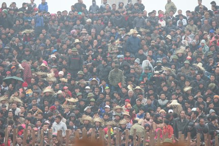 H&agrave;ng vạn người chen ch&uacute;c nhau đi xem chọi tr&acirc;u Hải Lựu  2