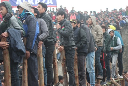 H&agrave;ng vạn người chen ch&uacute;c nhau đi xem chọi tr&acirc;u Hải Lựu  3