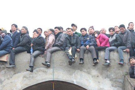 H&agrave;ng vạn người chen ch&uacute;c nhau đi xem chọi tr&acirc;u Hải Lựu  4