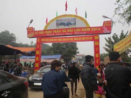 Lễ hội chọi tr&acirc;u Vĩnh Ph&uacute;c: Người d&acirc;n &ldquo;được m&ugrave;a chặt ch&eacute;m&rdquo; 1