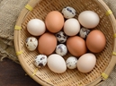 5 sự thật bất ngờ về các loại thực phẩm hàng ngày 5 sự thật bất ngờ về các loại thực phẩm hàng ngày