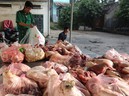 Sai lầm khiến bạn dễ mắc ung thư Sai lầm khiến bạn dễ mắc ung thư