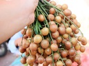 Sai lầm khi bỏ phí vỏ của các loại quả này Sai lầm khi bỏ phí vỏ của các loại quả này
