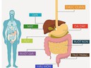 Tầm soát ung thư tiêu hóa để ung thư không còn là mối nguy khó lường