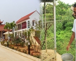 Vườn rau sạch mướt mắt trong căn biệt thự 2000m2 của ca sĩ Việt Hoàn