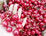 Cherry Trung Quốc 90 ngàn/kg bán tràn lan