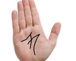 Tự xem số phận mình qua bàn tay chính mình: Chữ M trong lòng bàn tay nói gì về số phận?