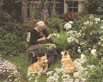 Cuộc đời an yên bên nhà vườn rực rỡ như cổ tích của cụ bà 92 tuổi