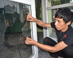 Vụ người dân bị ném chất thải vào nhà: “Họ lại đập tan cửa kính nhà tôi”