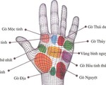 Tự xem số phận qua bàn tay: 9 gò trong lòng bàn tay