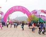 Quảng Ninh: Cam kết không sử dụng hoa giả ở lễ hội hoa anh đào - mai vàng