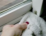 Mẹo làm sạch bụi bặm ở những vị trí khó vệ sinh nhất của cửa sổ chỉ trong nháy mắt