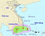 Bão số 8, gió giật cấp 10 sắp đi vào đất liền Việt Nam