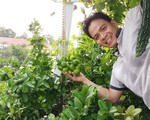 Khu vườn sân thượng tuy nhỏ nhưng bạt ngàn rau sạch của người chồng dồn sức chăm bón cho vợ con ở Vũng Tàu