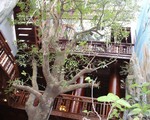 Cận cảnh căn nhà 5 tầng làm hoàn toàn bằng gỗ quý “độc nhất vô nhị” ở Hà Tĩnh