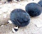 Giống gà đen trùi trũi, trứng cũng đen xì giá 1 triệu đồng/quả vẫn được đại gia Việt lùng mua