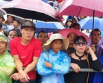Hải Phòng: Hàng nghìn người phải đội mưa đứng ngoài lễ hội chọi trâu Đồ Sơn