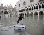 Dân Venice khóc ròng vì ngập lụt lịch sử, du khách vẫn mê mải selfie
