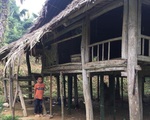 Nhiều thông tin sai lệch về cậu bé 10 tuổi sống cô độc trong rừng ở Tuyên Quang