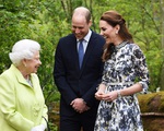 Kate mất thời gian dài kết thân với Nữ hoàng