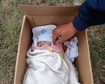 Hà Nội: Phát hiện bé sơ sinh đặt trong thùng mỳ tôm ở vệ đường kèm bức thư ngắn ngủi