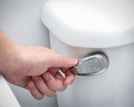 Rước họa vào thân vì sai lầm khi sử dụng toilet