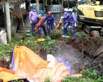 Hải Dương: Thêm 3 xã của huyện Ninh Giang tiếp tục xuất hiện bệnh dịch tả lợn châu Phi