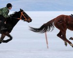 'Lác mắt' với màn đua ngựa trên băng ở Nga