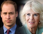 Hoàng tử William đến tận bây giờ vẫn không chấp nhận mẹ kế, nguyên nhân từ một cuộc gặp bí mật sau khi Công nương Diana qua đời
