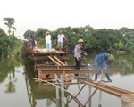 Chuyện cầu Bồng Lai bị sập trong đêm và ước nguyện của dân làng
