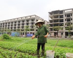 Hà Nội: Vì sao dự án Trường THPT chất lượng cao Mùa Xuân ở quận Long Biên lại bị người dân phản đối?