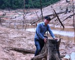 Nhà báo Hùng Võ và hành trình “lật mặt” tội ác dưới tán rừng xanh