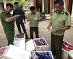 Thu giữ 8.000 que kem Trung Quốc, lộ đường dây nhập kem siêu rẻ