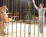 Bốn con hổ cắn chết người huấn luyện trong rạp xiếc ở Italy