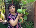 Khu vườn xum xuê cây trái trong căn nhà ở Mỹ của nữ danh ca có chồng làm kỹ sư cơ khí hàng không