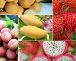 6 loại trái cây tươi ở Việt Nam đã được xuất khẩu thành công với giá bán &apos;khó tin&apos;