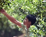 H&oacute;ng chuyện ở chợ, 7 năm sau anh n&ocirc;ng d&acirc;n đ&atilde; th&agrave;nh tỷ ph&uacute;