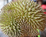 Phi c&ocirc;ng đeo mặt nạ oxy, hạ c&aacute;nh m&aacute;y bay v&igrave; m&ugrave;i sầu ri&ecirc;ng