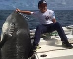 Cậu bé 8 tuổi câu được cá mập ‘khủng’ nặng hơn ba tạ