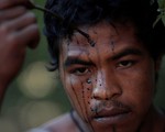 Lâm tặc Amazon phục kích, giết hại thổ dân bảo vệ rừng