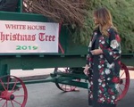 Melania đón cây thông Giáng sinh khổng lồ đến Nhà Trắng