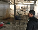 Hà Nội: Phải tiêu hủy 214 con lợn mà chưa được nhận tiền hỗ trợ, người dân có nguy cơ mất Tết