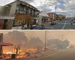 Thủ tướng Australia bẽ bàng khi cố bắt tay nạn nhân cháy rừng