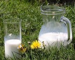 Sữa để lâu trong tủ lạnh hết hạn vì quên uống, đừng bỏ đi không bạn sẽ hối tiếc bởi nó có rất nhiều công dụng