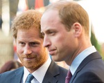 Rạn nứt William - Harry &quot;bắt nguồn từ khi bố mẹ ly hôn&quot;